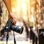 Roving Photography