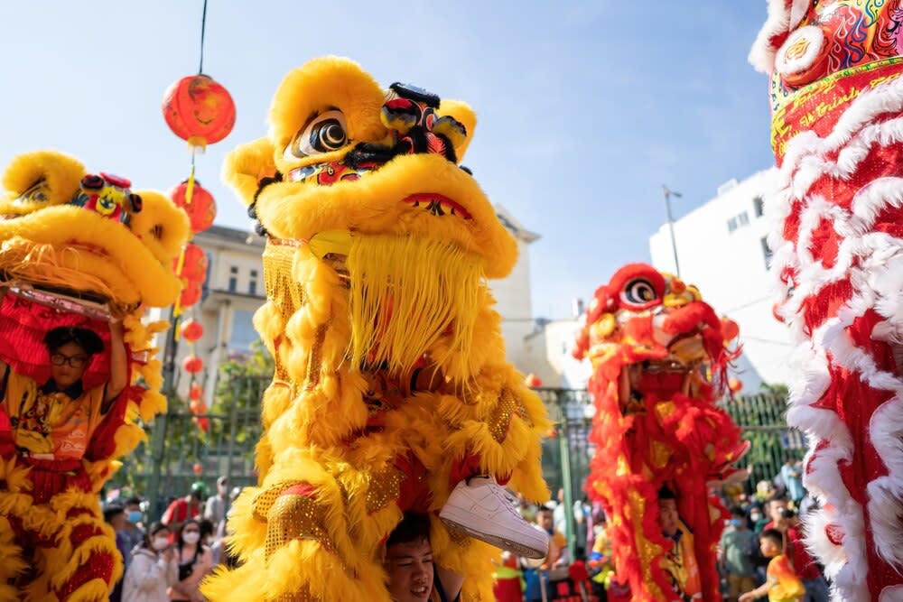 Get to know the styles and traditional Chinese Lion dance